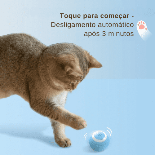 Bolinha Interativa para Gatos - Cat Roller