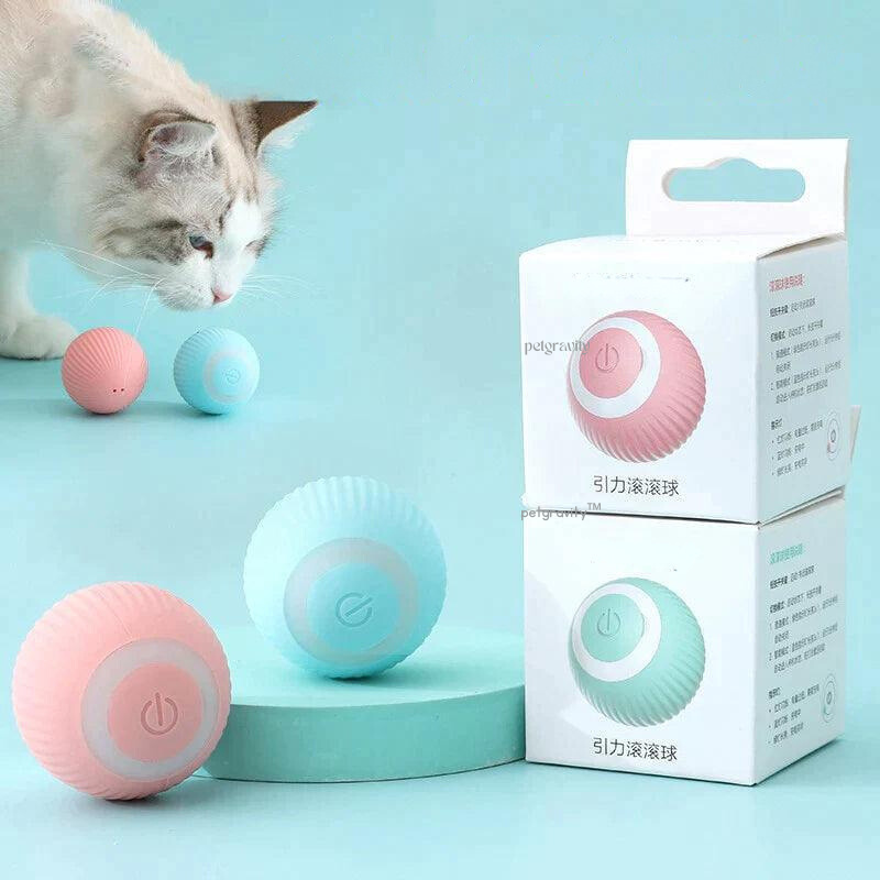 Bolinha Interativa para Gatos - Cat Roller